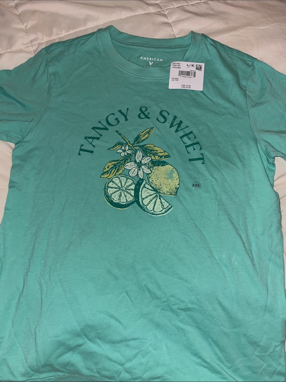 American Eagle Outfitters Mint Green 'Tangy & Sweet' Graphic Tee - Men's